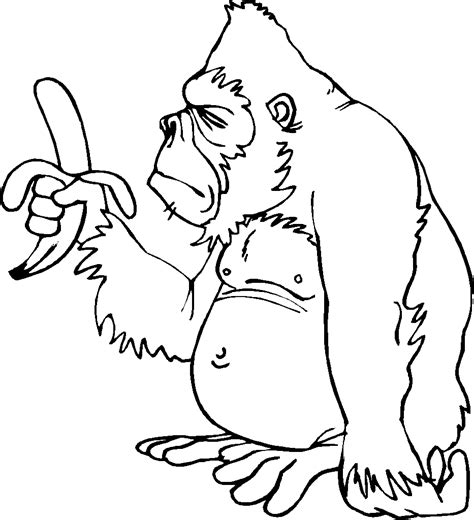 Coloriage Chimpanz Animaux Dessin Colorier Coloriages