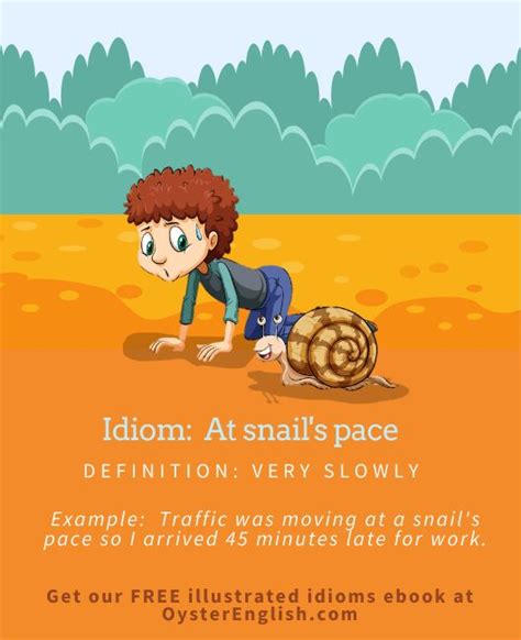 Idiom: At a snail's pace | Idioms, English idioms, Sentence examples