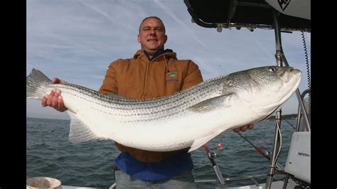 How To Catch Striped Bass How To Fight Stripers With Multiple Lines