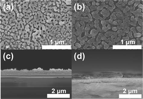 Influence Of Mo Doping On Interfacial Charge Carrier Dynamics In