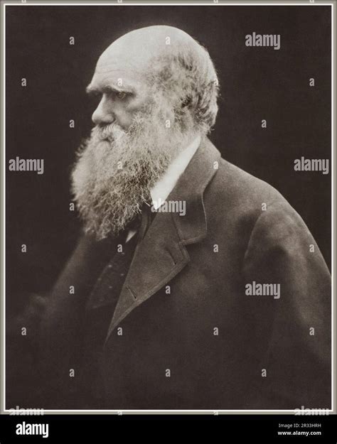 Charles Darwin Portrait By The Celebrated Victorian Photographer Artist