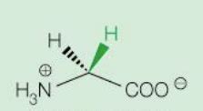 Biochem Amino Acids Flashcards Quizlet