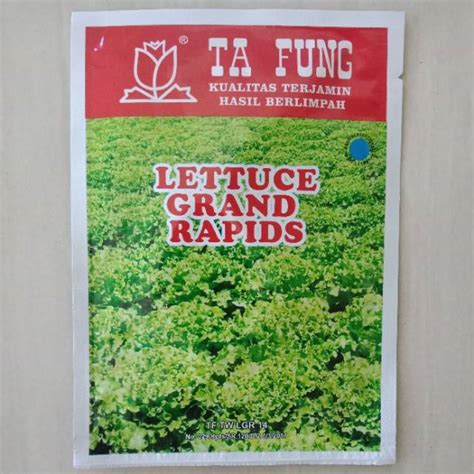 Jual 10 Gr Benih Selada Grand Rapids Tafung Bibit Slada Lettuce Ta Fung