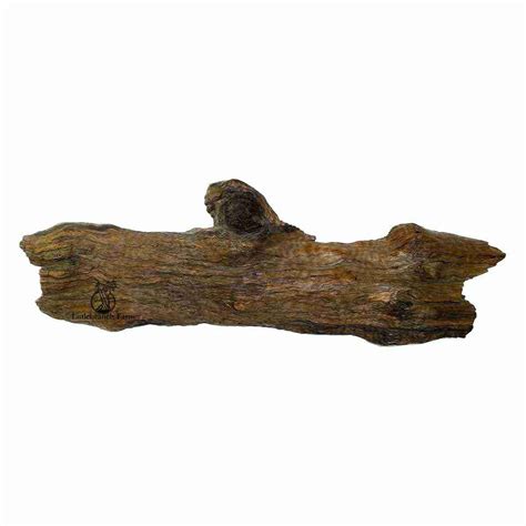 Driftwood wall art - Littlebranch Farm