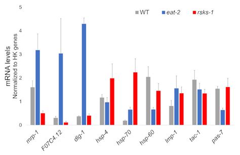 Gene Expression By Rt Qpcr Rt Qpcr Analysis For The Mrna Obtained By