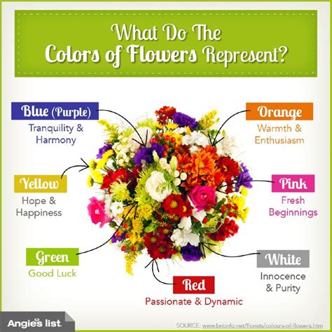 What Do Flowers Symbolize Flower Meanings Flowers Flower Delivery