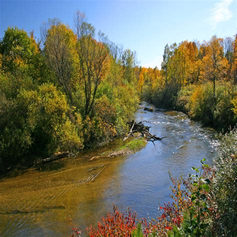 Home Betsie River Canoes And Campground