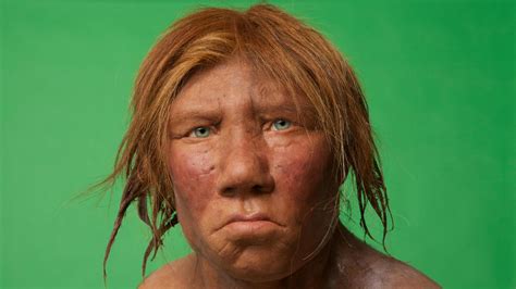 How Did The Last Neanderthals Live Neanderthal Human Types Of Humans