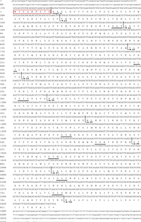 Figure From Expression Analysis Of Igs And Mucosal Immune Responses