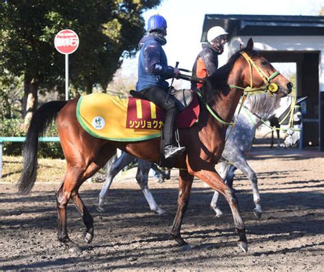 【阪神jf】シンリョクカは脚が速い馬、キャリア1戦だが竹内師「十分適性はある」 2歳馬特集 競馬 日刊スポーツ