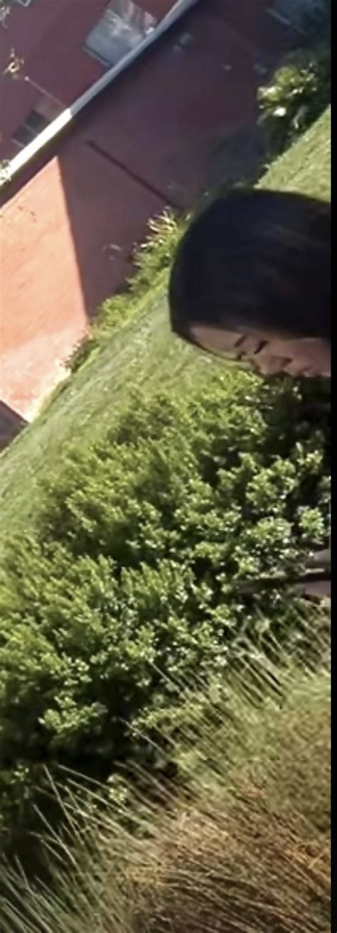 Tight Asian Slut Pink Leggings Thick Ass Duo In Leggings Face Shots Spandex Leggings