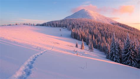 Pap Is De Parede Inverno Declive Rvores Neve Montanhas Raios De