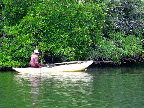 ER DET TRYGT Å REISE TIL SRI LANKA