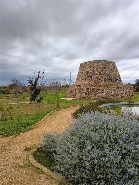 ARBOLIA INSIEME ALLORTO BOTANICO DEL SALENTO E AL COMUNE DI LECCE