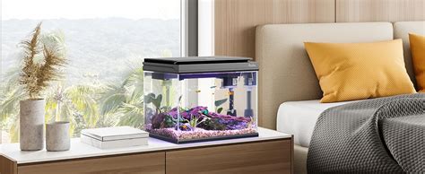 Amazon Pondon Gallon Fish Tank Low Iron Glass Aquarium Starter