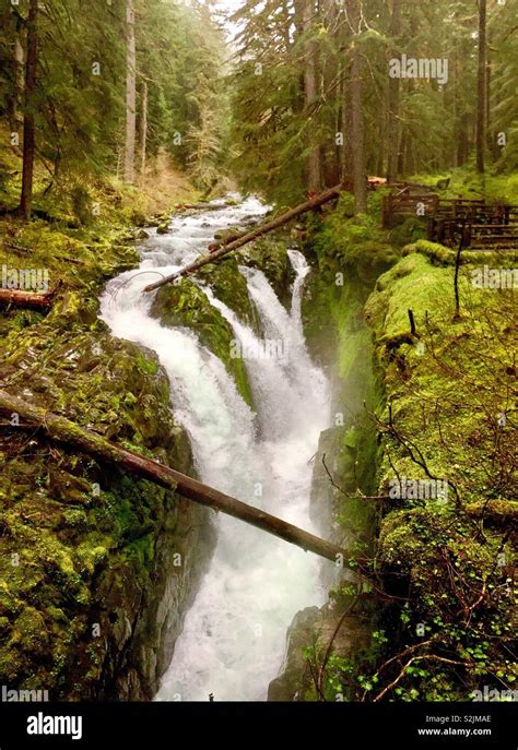 Sol Duc Falls Olympic National Park Washington Usa Stock Photo Alamy