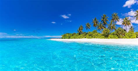 Tranquil Beach Scene Sunny Exotic Photograph By Levente Bodo Fine