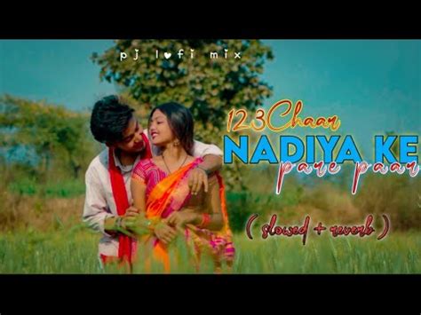 Chaar Nadiya Ke Paare Paar New Lofi Slowed X Reverb Nagpuri Song