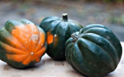 Acorn Squash Each Farmbox Arizona