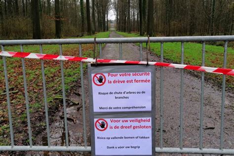 Le Parc Denghien Partiellement Rouvert Au Public Lavenir