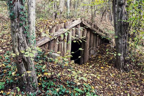 Картинки по запросу землянка в лесу | Bushcraft shelter, Backyard ...