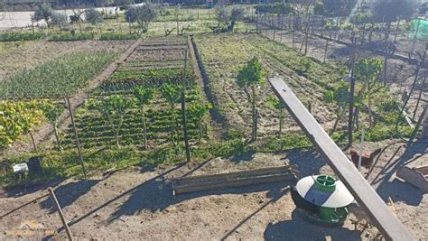 Terreno Venda Em Urb Zona Industrial Quinta Do Quinteiro Castelo