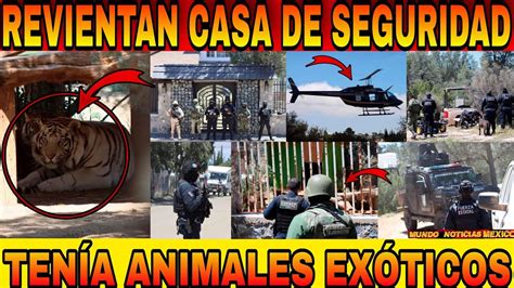 CATEAN VIVIENDA DE PRESUNTO CAPO Y ASEGURAN ARMAS Y ANIMALES EXÓTICOS