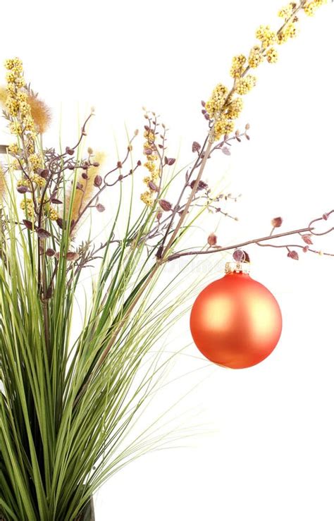 Grass With Christmas Decoration. Stock Photo - Image of herbs, leafs ...