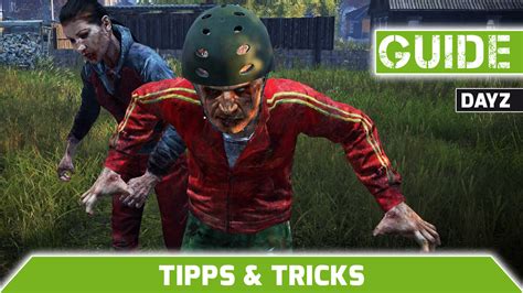 DayZ Tipps und Tricks für Einsteiger