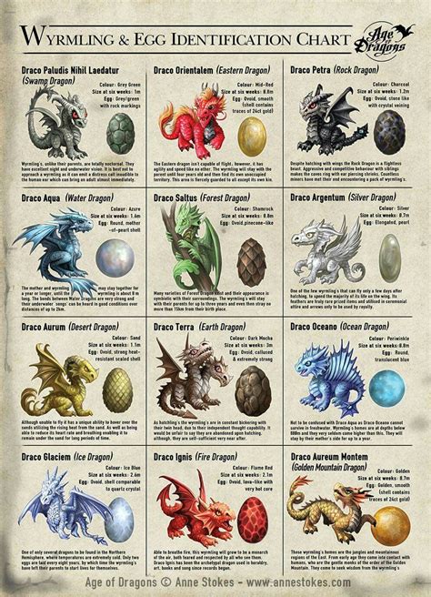 96 best ideas for coloring | Dragon Types Dnd 5e