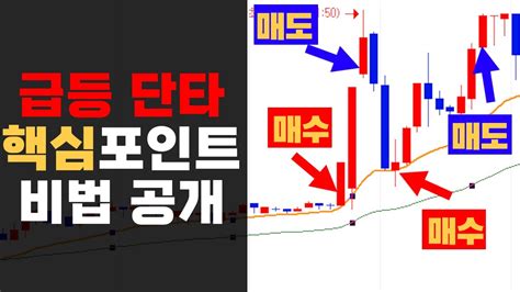 주식 초보들이 쉽게 따라 할 수 있는 주식 대박 단타 기법 공개 키움 Vip 전문가 분석 Youtube