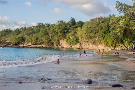 Les Plus Belles Plages De La Martinique Artofit