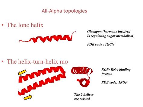 Ppt Basic Principles Of Protein Structures Powerpoint Presentation