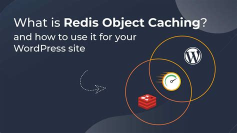 What Is Redis Object Caching And How To Use It For Your WordPress