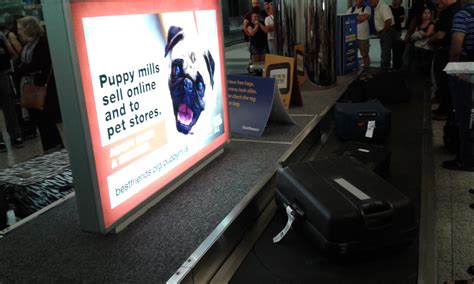 LaGuardia Airport (LGA)