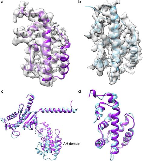 AH Domain Density And Comparison With RhodopsinGi A AH Domain Density