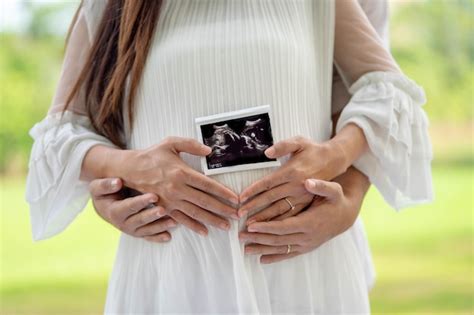 Premium Photo Midsection Of Pregnant Woman Holding Ultrasound