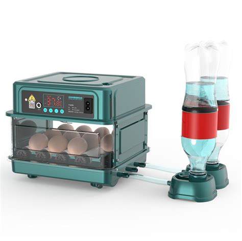 Chicken Egg Incubator For Hatching Eggs China Incubator And Egg Incubator