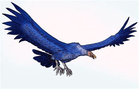 Teratornithidae — Википедия