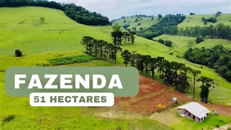 S Tio Venda Em Santa Catarina Casa Hectares Cercado Pastagem Para