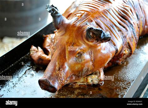 Cooked Hog Roast Pig Stock Photo Alamy