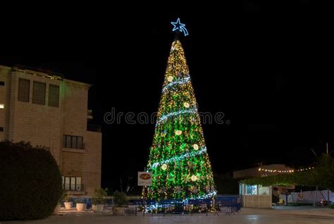 Christmas Tree With Star Of Bethlehem Stock Photo - Image of decoration ...