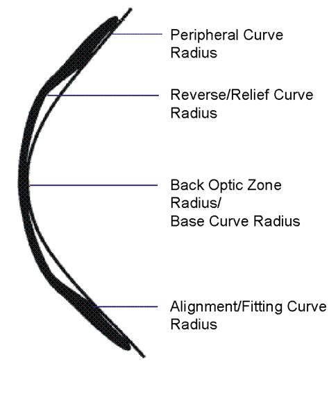 Contact Lens Base Curve Radius