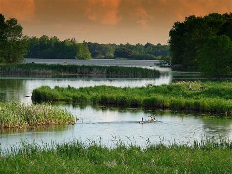 Freshwater Wetland Ecosystem of Pakistan - Climatic Biome