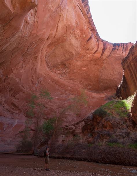 Shortest Hike To Jacob Hamblin Arch Via Sneaker Route In Coyote Gulch