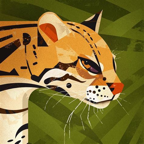 Dieter Braun Illustration Animal Illustration Big Cats Art