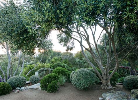 5 Simple Steps For Designing A Coastal Garden Coastal Gardens