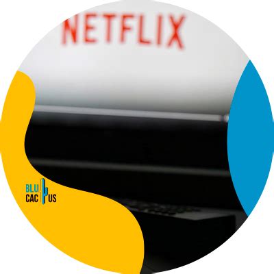 What Is Netflixs Marketing Strategy Blucactus Marketing Agency