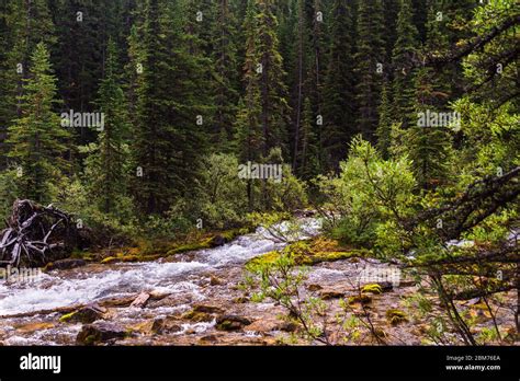 Lake Morraine Sceneries Banff National Park Alberta Canada Stock