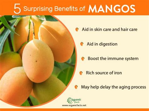 Discover The Health Benefits Of Eating Mangoes Daily Wynter S Wellness